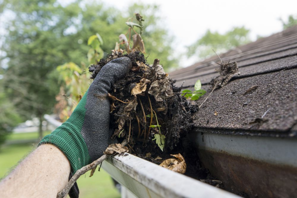 Gutter Debris Removal